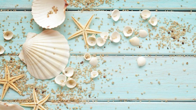 Морской фон с ракушками