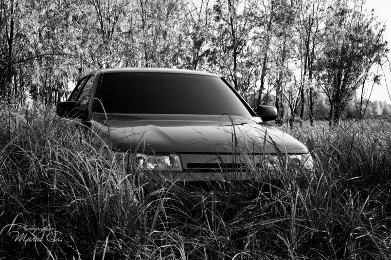 ВАЗ 2110 В лесу