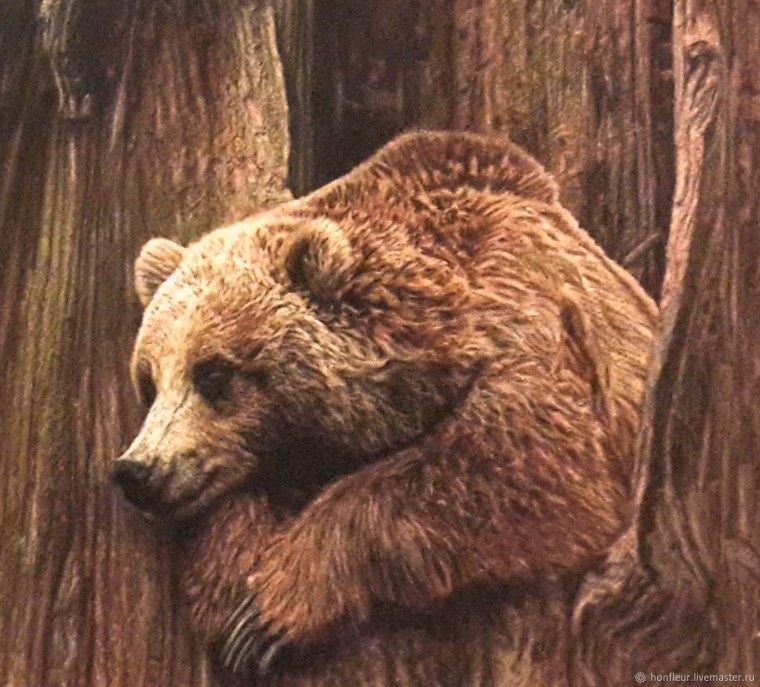 Бурый медведь Брянской области