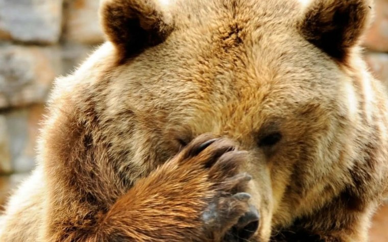 Медвежонок плачет