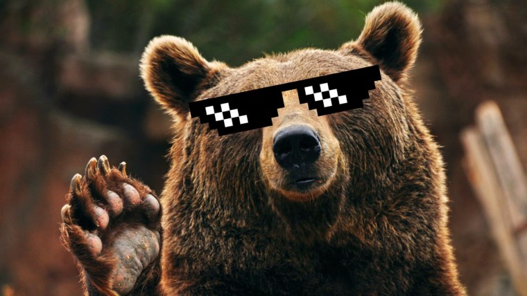 Обиженный медведь