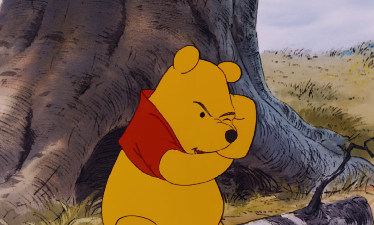 Белый медведь морда