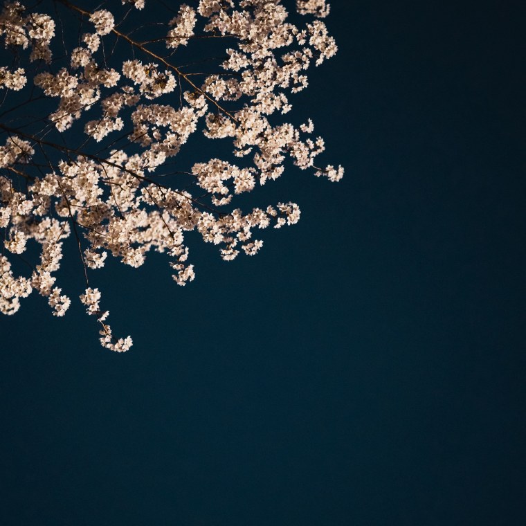 Заставки на телефон