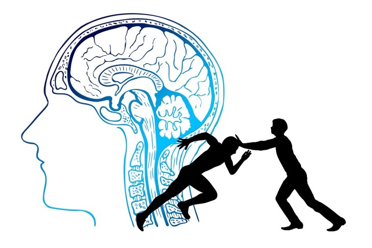 Мозг думает