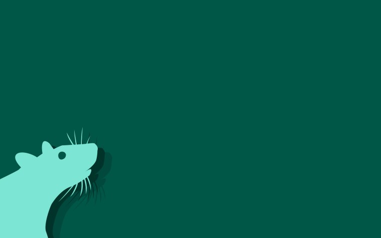 Крыса Минимализм