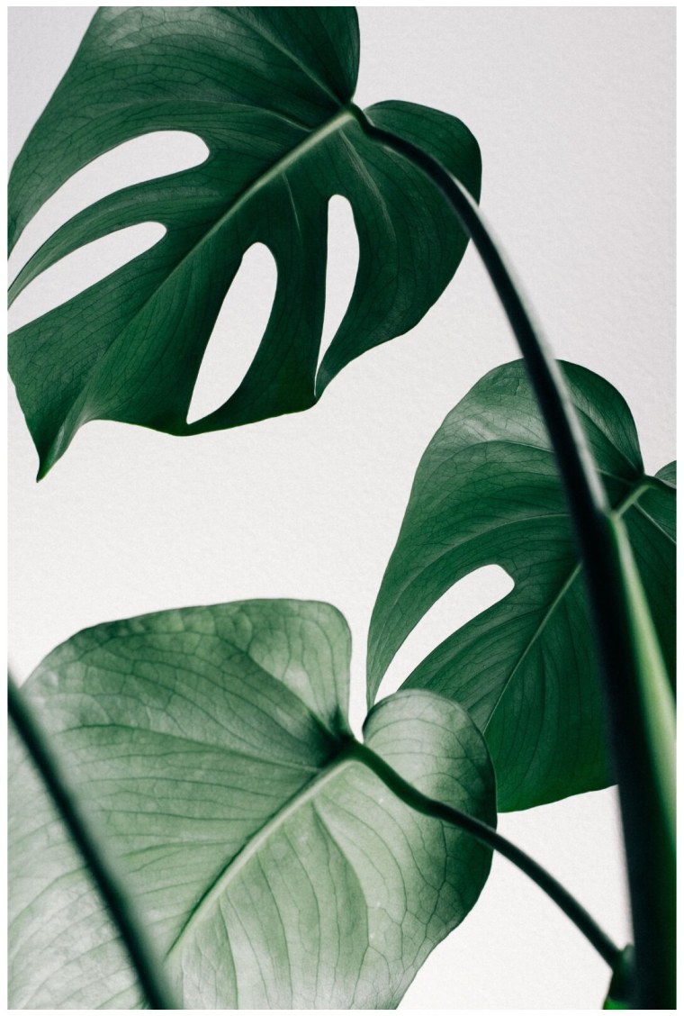 Пазл Schmidt 2000 деталей: старинная карта