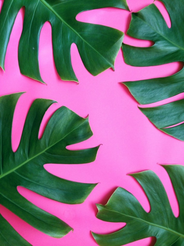Тропические листья на розовом фоне