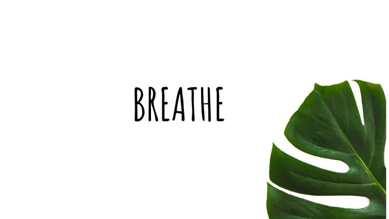 Тропические листья Пинтерест