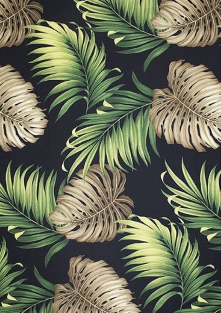 Монстера Минимализм