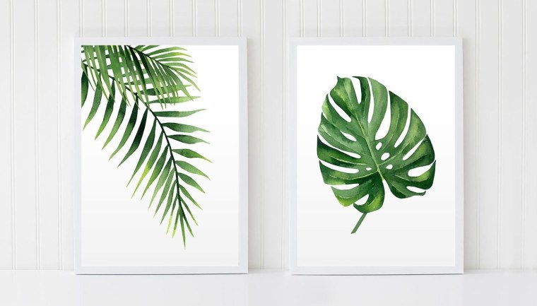 Золотой папоротник монстера