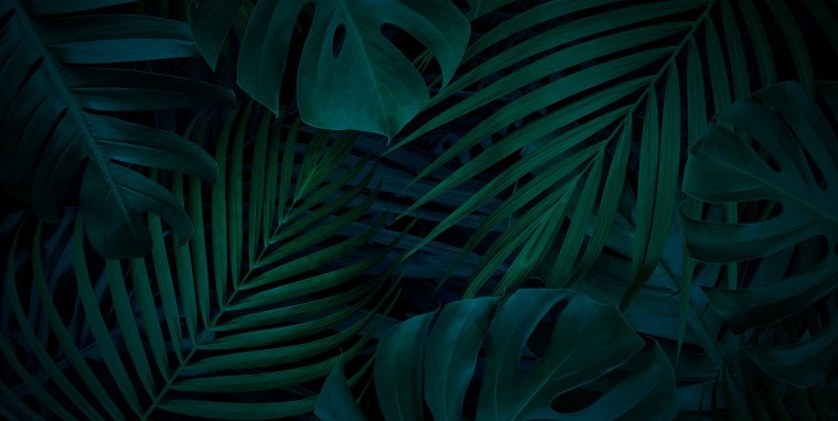 Крутые обои на ПК Монстер