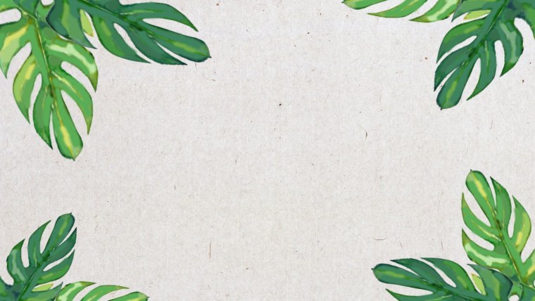 Тропические листья монстеры