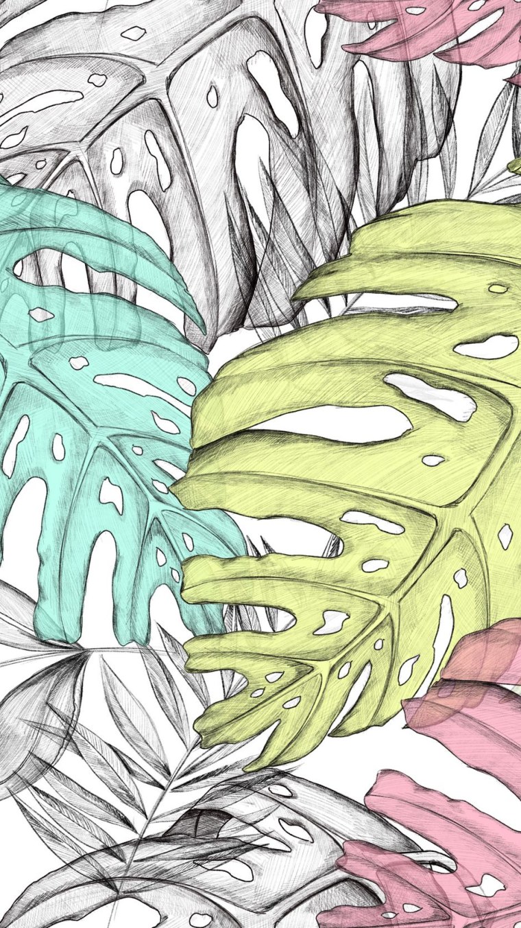 Листья монстеры арт