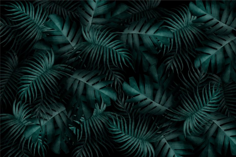 Тропические лист Monstera