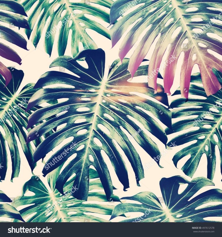 Листья Минимализм