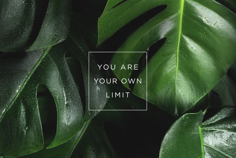 Пальмовые листья акварель