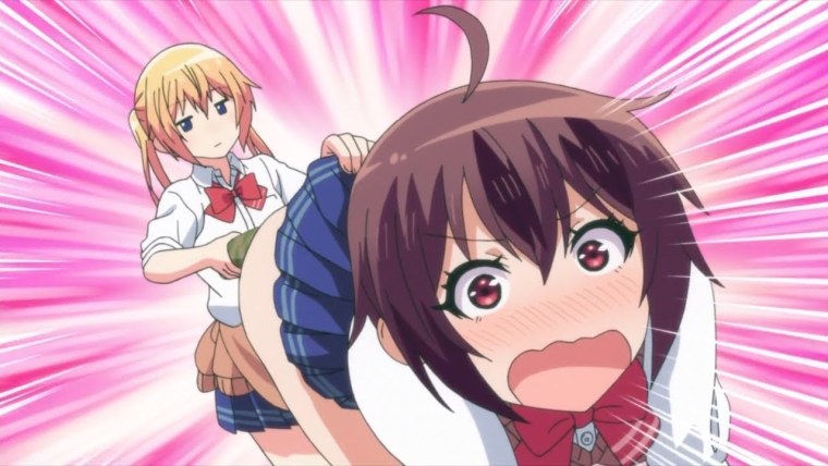 Бедствие ли это аниме