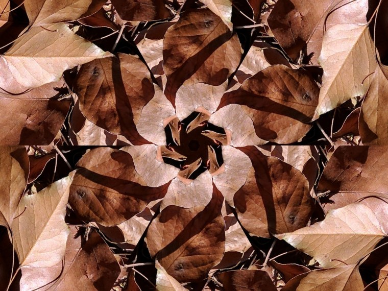 Коричневые листья