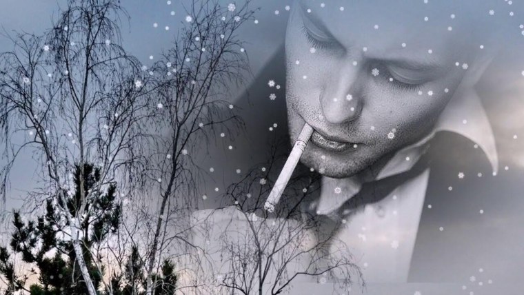 Сквозь метель