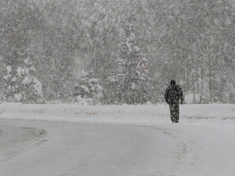 Люди в Пурге лес