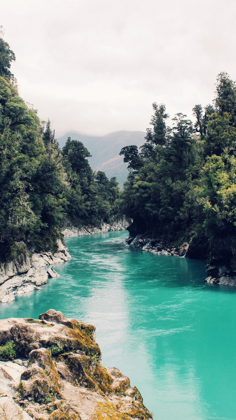 Природа на хонор