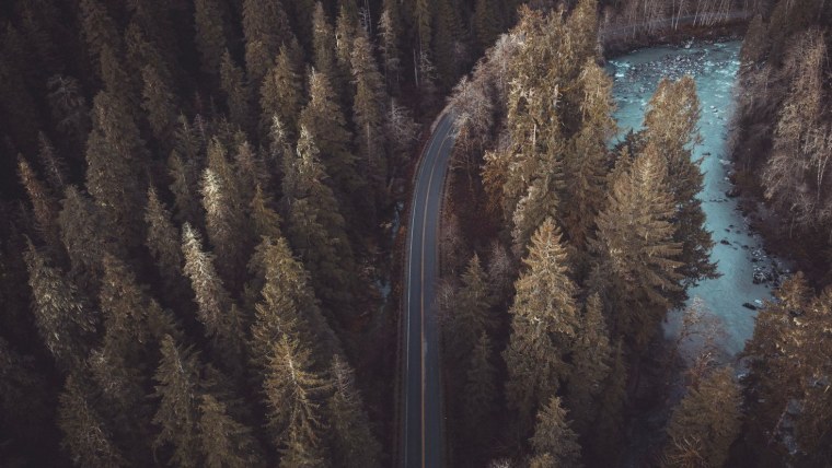 Лесная дорога вид сверху