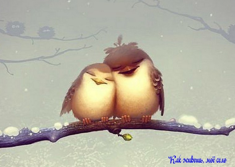 Влюбленные птички на ветке