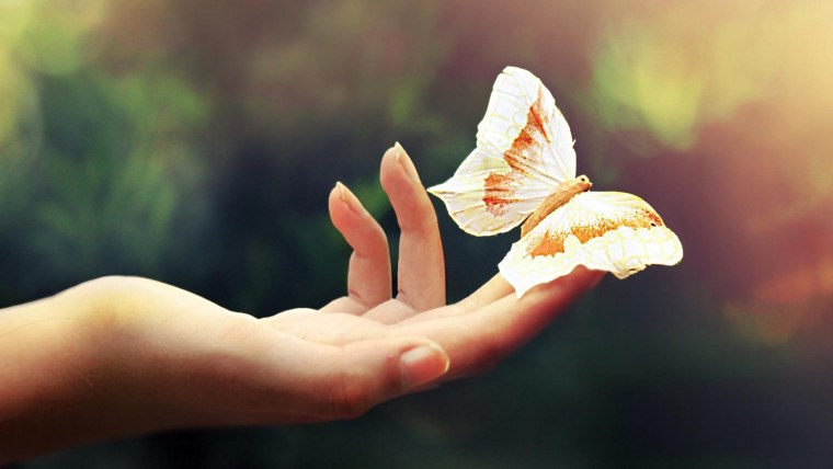 Счастье подобно бабочке