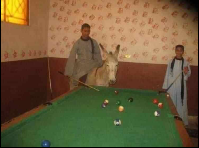 Бильярд Мем