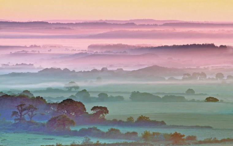 Нежный пейзаж