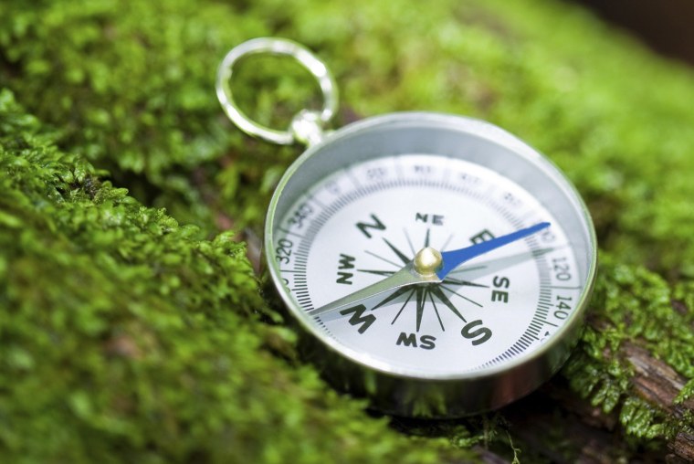 Ориентир картинка