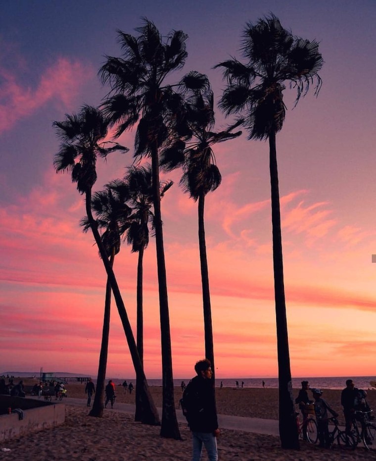 Эстетика Бич