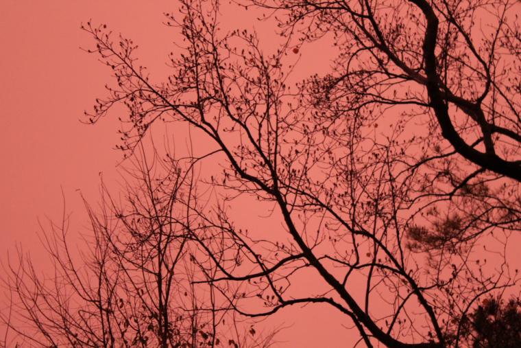 Эстетика красного