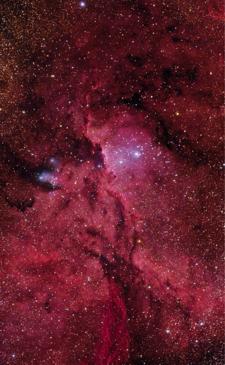 Красно бордовый