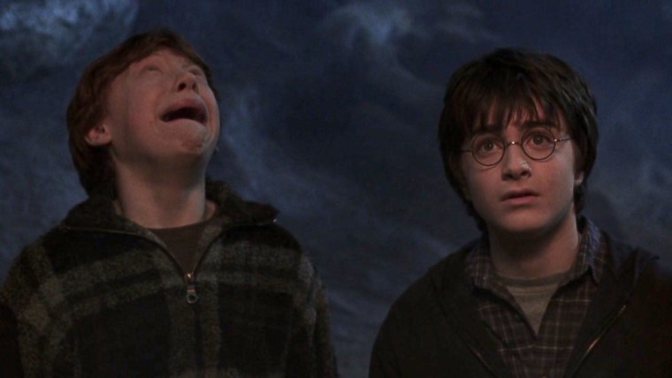 Гарри и Рон пауки