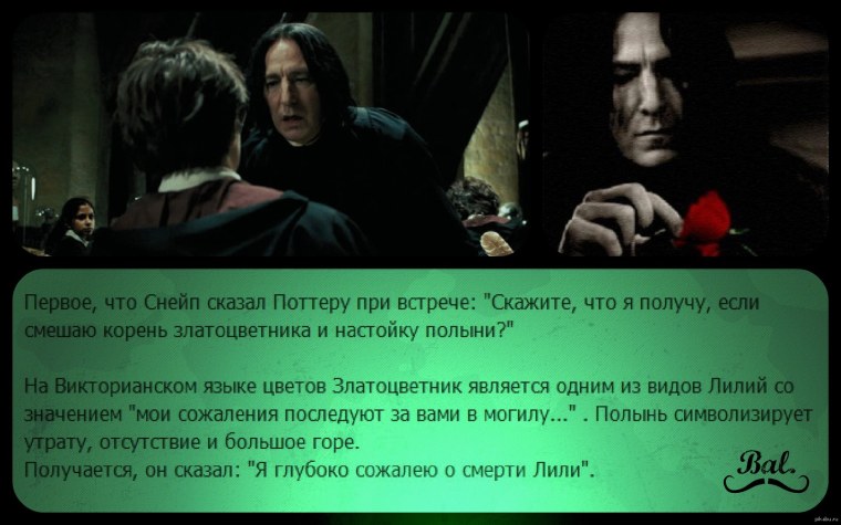 Цитаты Гарри Поттер Снегг