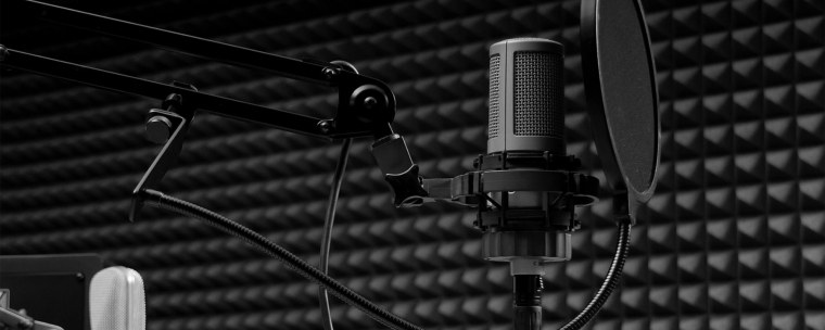 Volta s-100 студийный микрофон