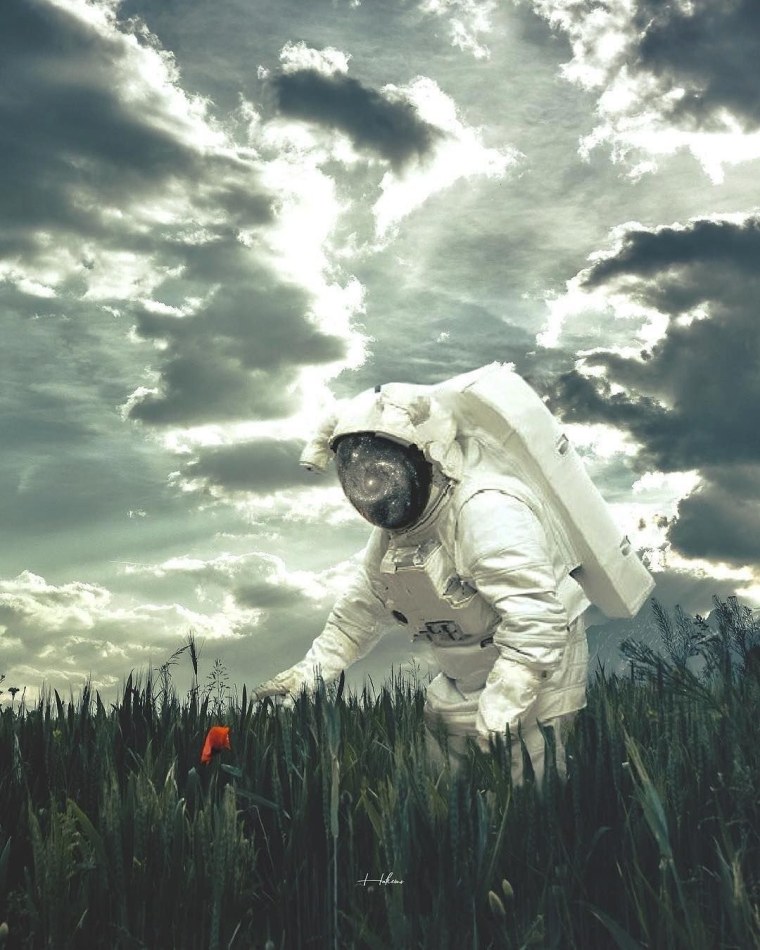 Космонавт в поле арт