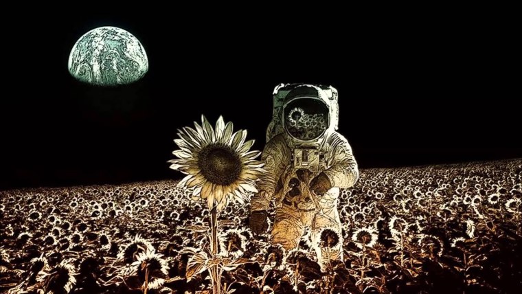 Космонавт в подсолнухах