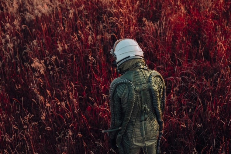 Дэвид Шерман фотограф