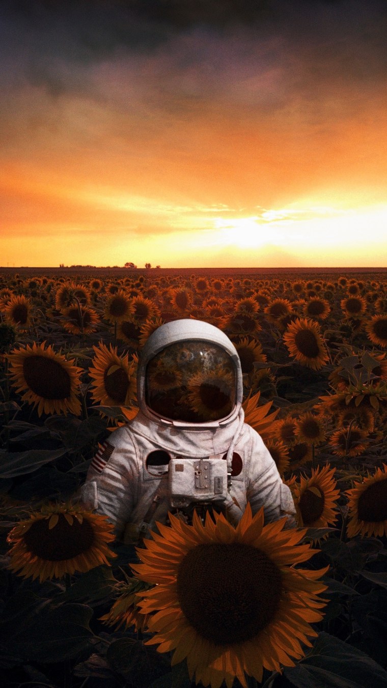 Астронавт Дон Петтит Подсолнухи