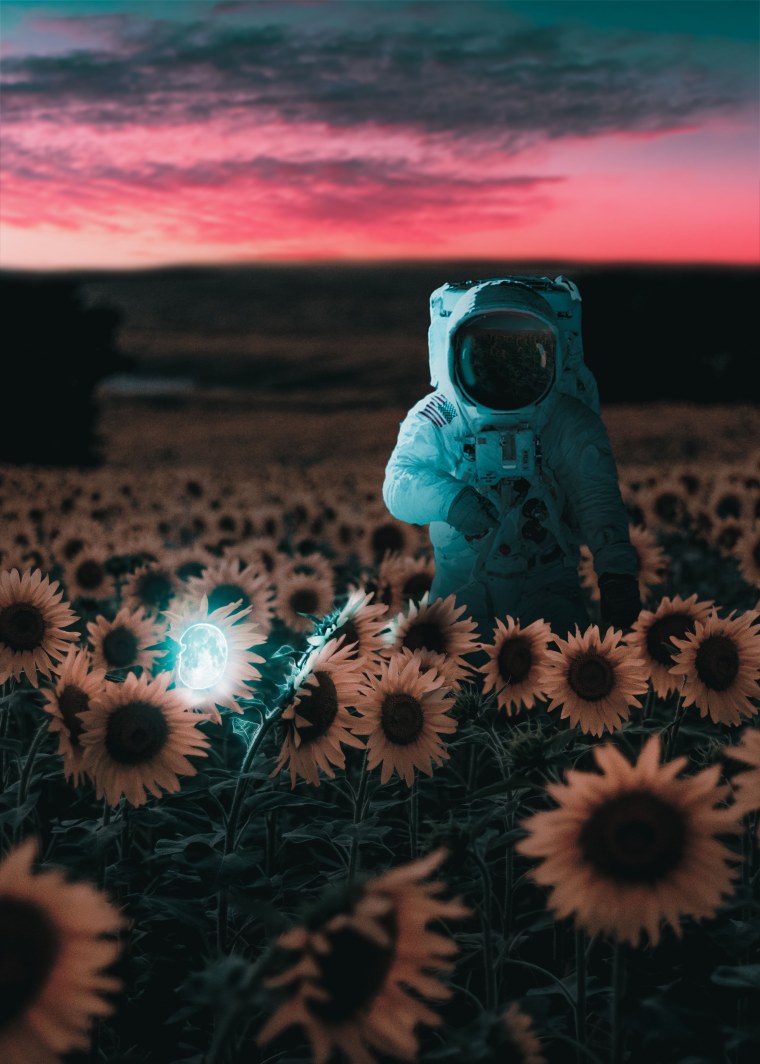 Космонавт в подсолнухах