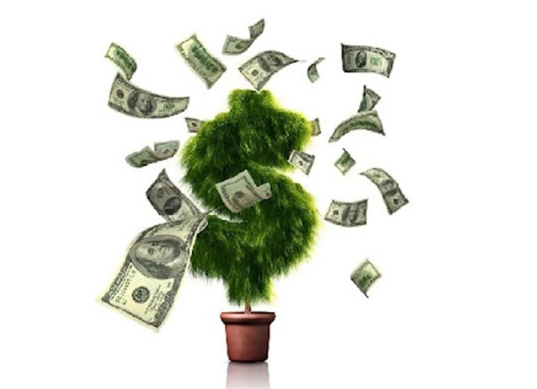 Дерево с деньгами