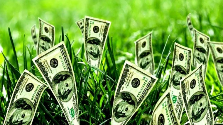 Зелень деньги