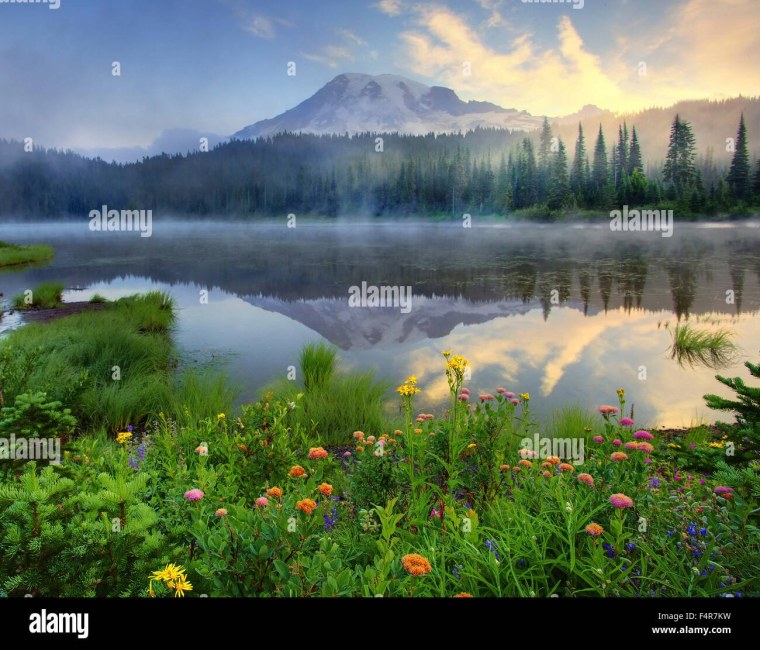 Прекрасный мир природы