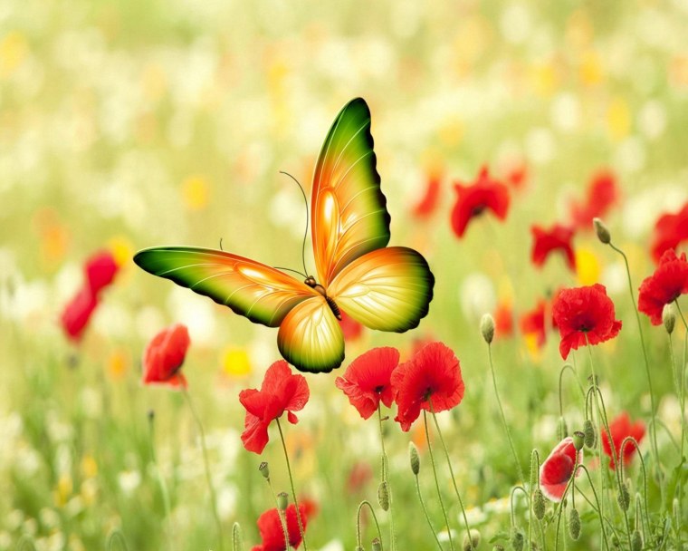 Яркие цветы и бабочки