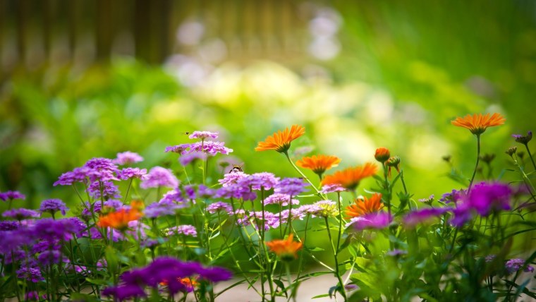 Обложки для фейсбука природа