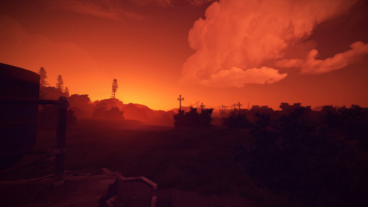 Хвойный лес в тумане