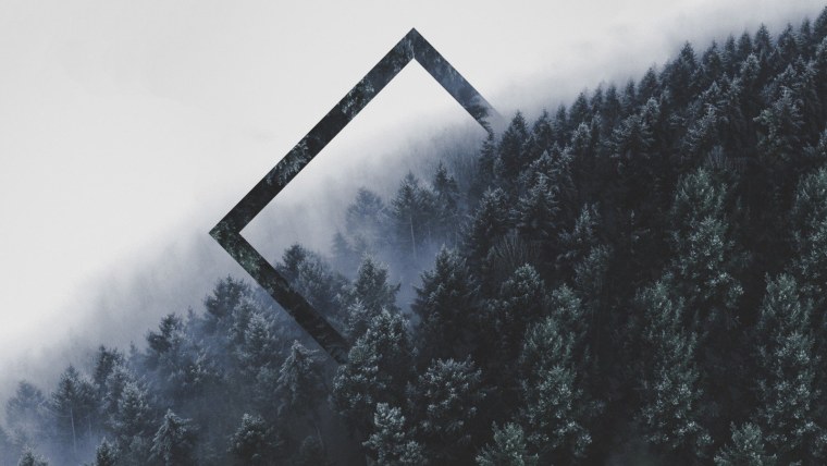 Мрачный лес