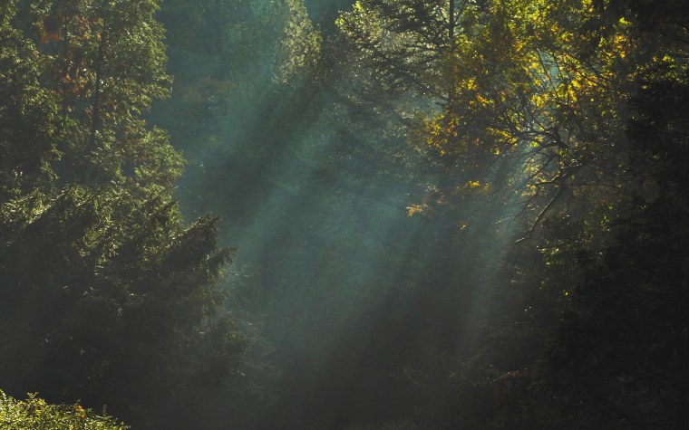 Туманный пейзаж